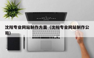 沧州沈阳专业网站制作方案（沈阳专业网站制作公司）